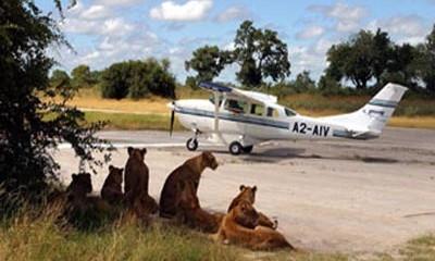 flying-safari-in-africa