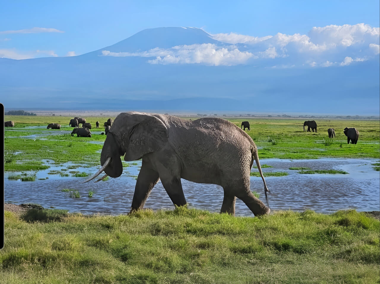 Amboseli National Park 
