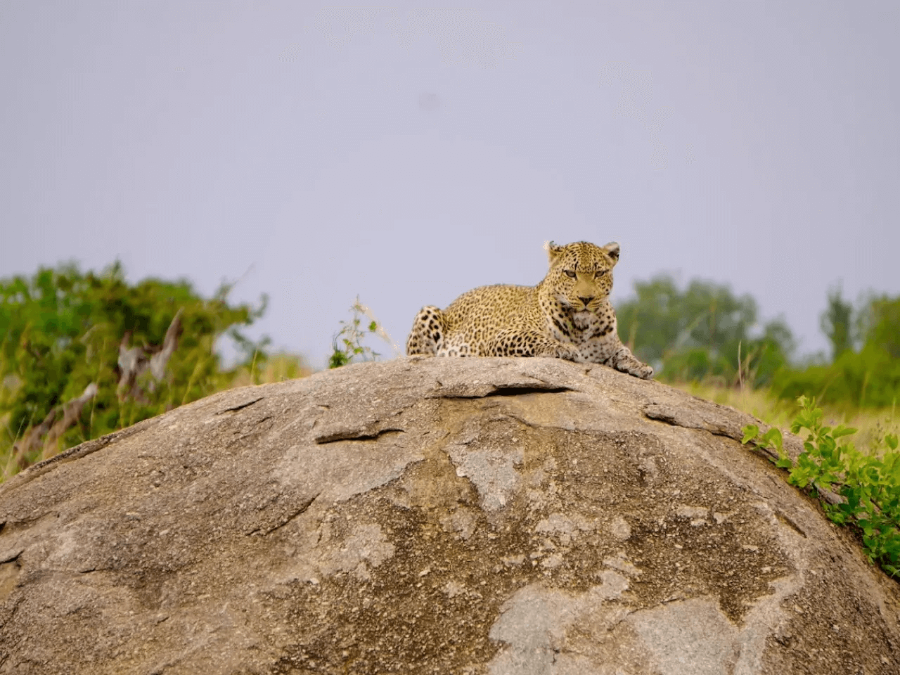 Tanzania Safari Itinerary 