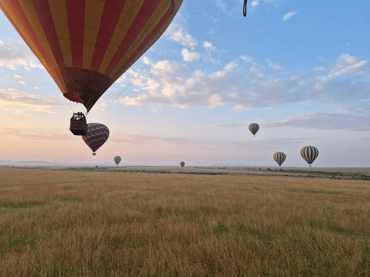 Tanzania Safari Costs