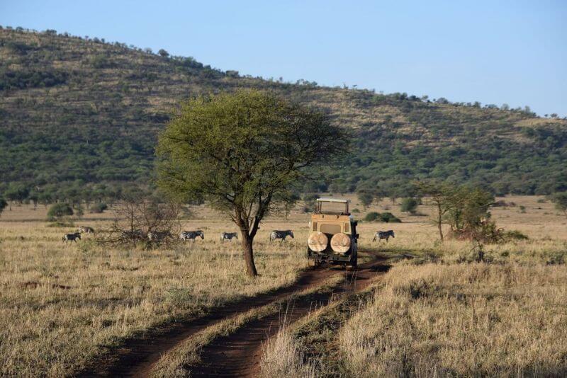 Tanzania Safari Tours